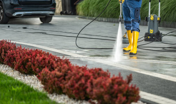 Professional Pressure Washing in Alpine, CA